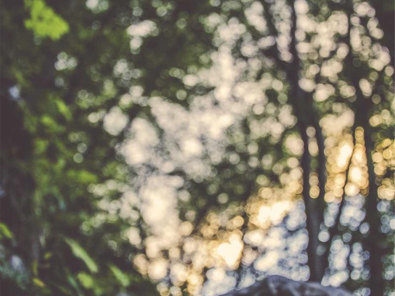 移动迷宫<br>aamotnk.cn  glade 跑酷